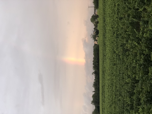 79A20C1E-4800-431B-B3C8-4773AB6623F0.jpeg
