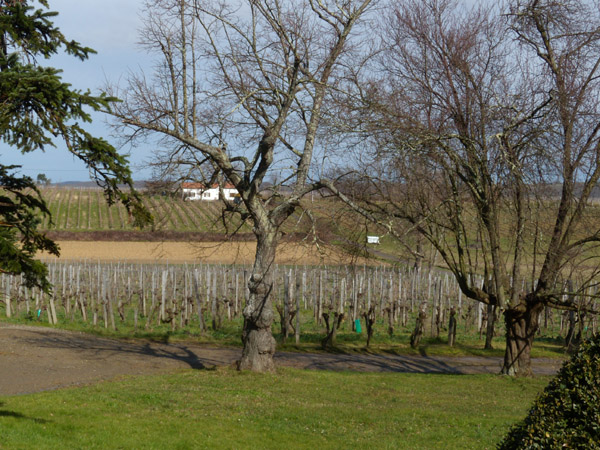 DSCN1558.jpg
