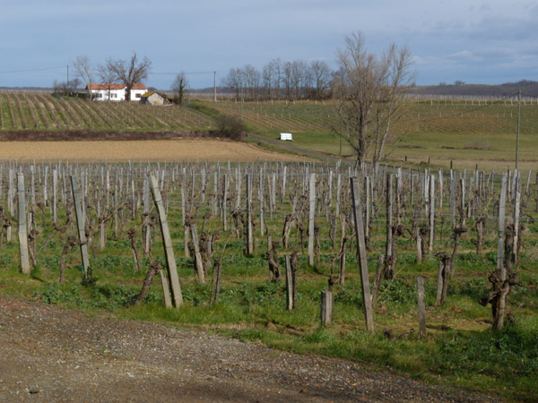 DSCN1559.jpg