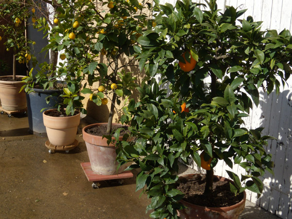 DSCN1563.jpg