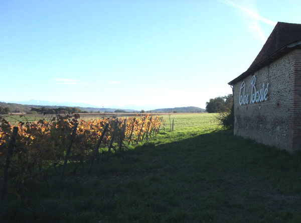 DSCF0536.JPG
