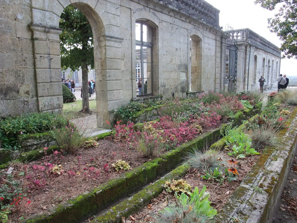 DSCF1021.JPG