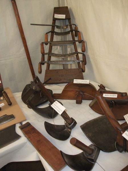 DSCF1229.JPG