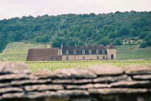 Clos de Vougeot 1.jpg