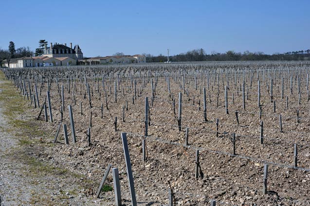 Chateau03GPL.jpg