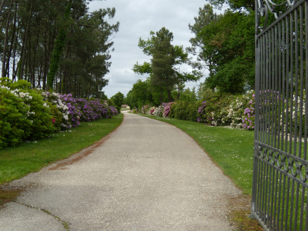bdx_09.jpg